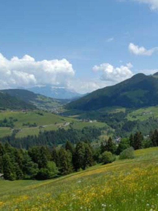 Urlaub in den österreichischen Alpen